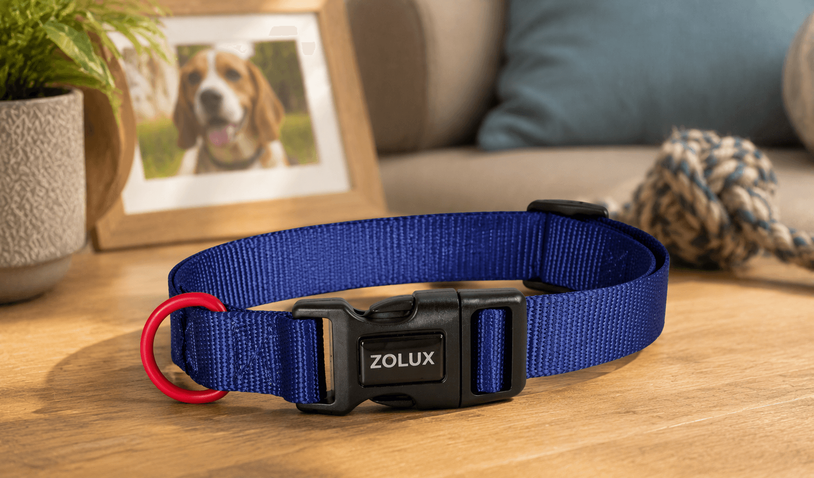 ZOLUX Klassisches Nylon-Hundehalsband, 26–39 cm, 15 mm, marineblau – Bild 7