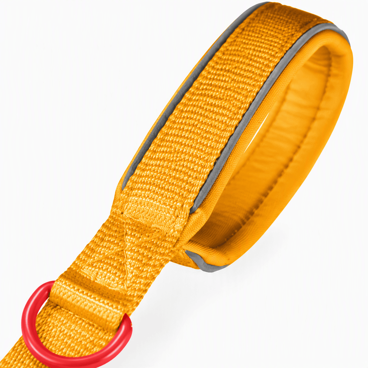 ZOLUX Premium-Nylon-Hundeleine, Größe XL, 1,2 m, 25 mm, gelb – Bild 5
