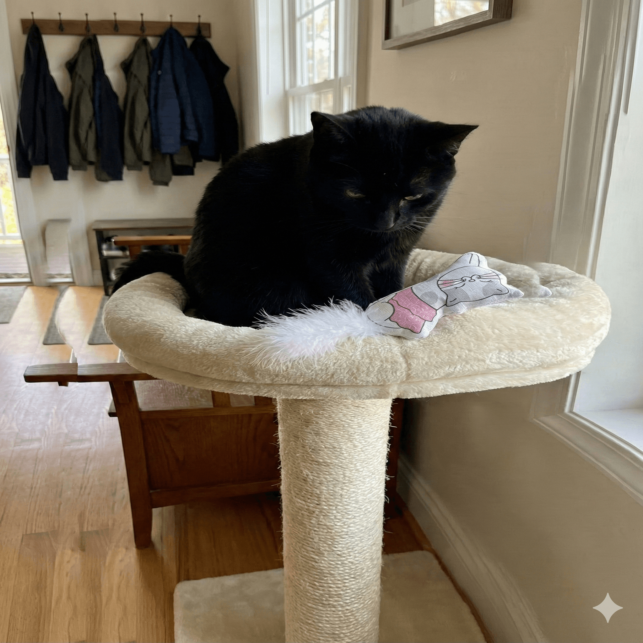 ZOLUX CHATOUILLE Katzenspielzeug, Katze im Tutu mit Federn und Katzenminze, 8 cm – Bild 4