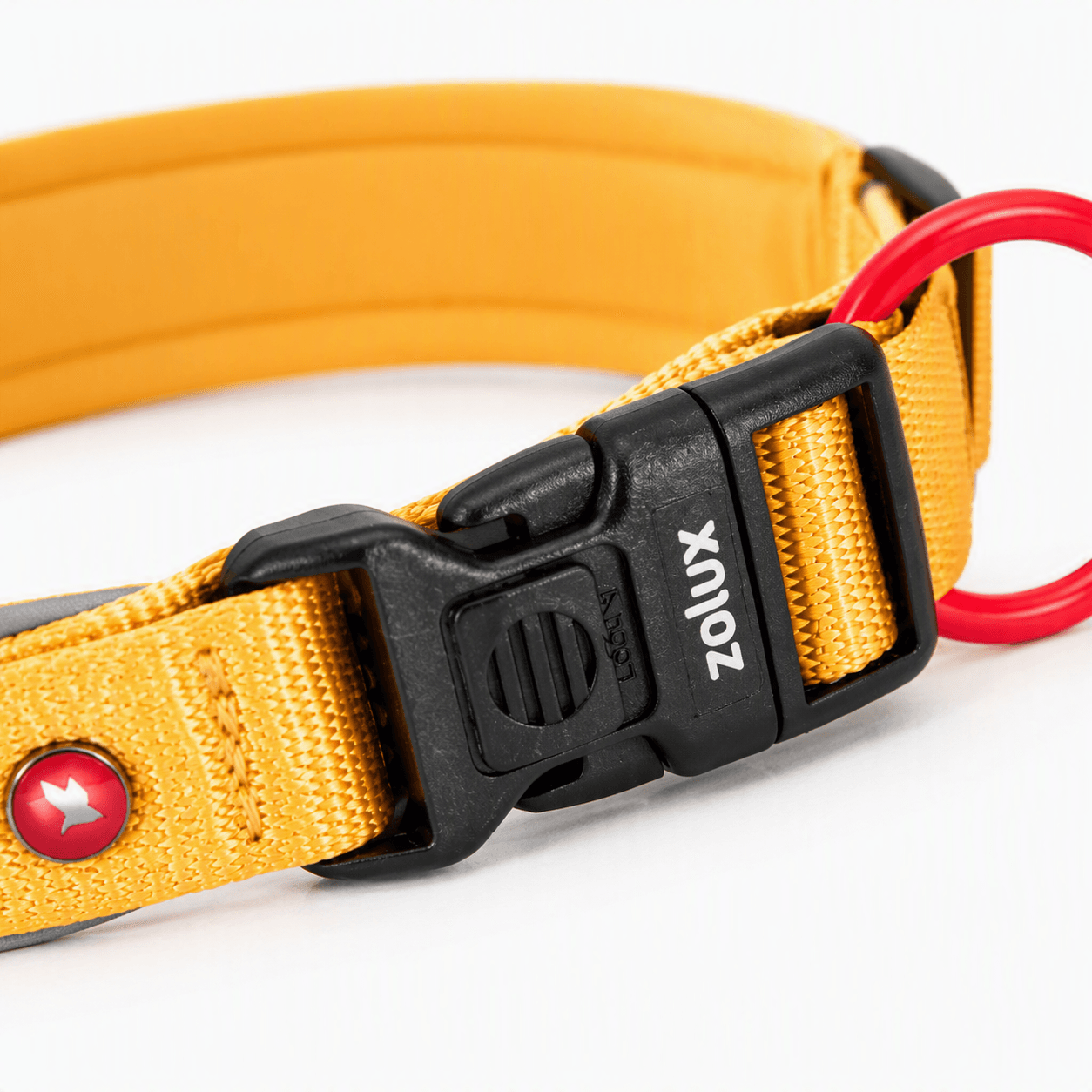 ZOLUX Premium-Nylon-Hundehalsband, Größe XXS, 25–30 cm, 15 mm, gelb – Bild 4