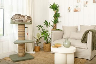 ZOLUX Kratzbaum für Katzen BOREAL, grün, 95 cm – Bild 2