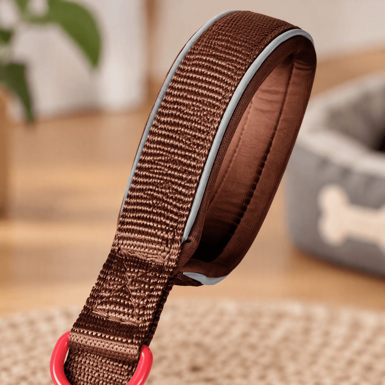 ZOLUX Premium-Nylon-Hundeleine, Größe XS, 1,2 m, 15 mm, mocha – Bild 5
