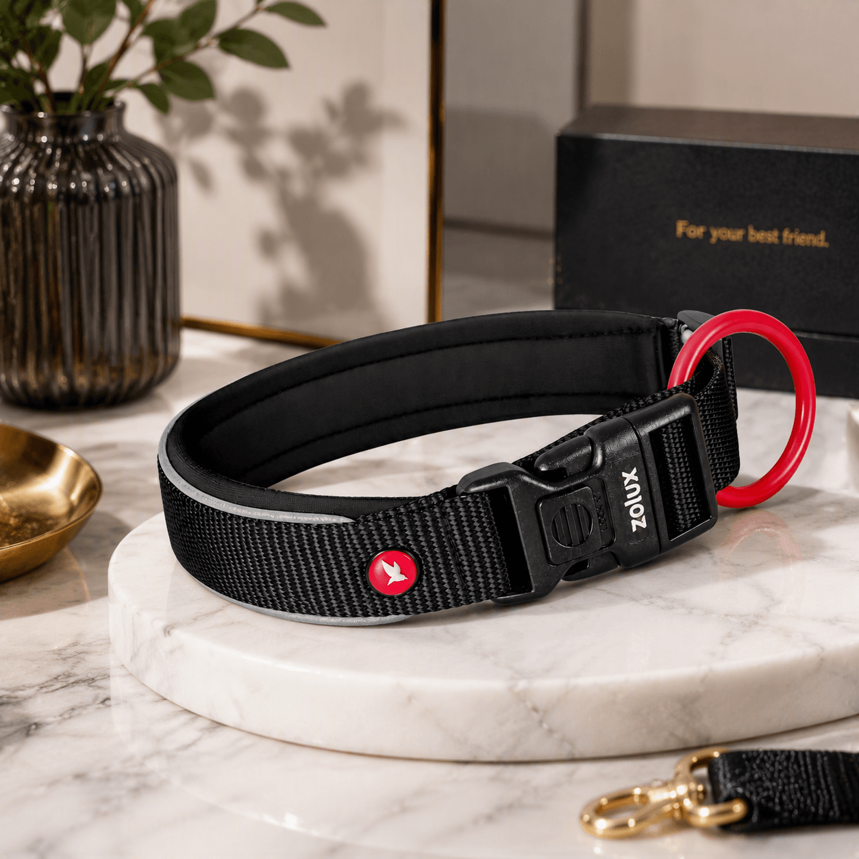 ZOLUX Premium-Nylon-Hundehalsband, Größe XXS, 25–30 cm, 15 mm, schwarz – Bild 4