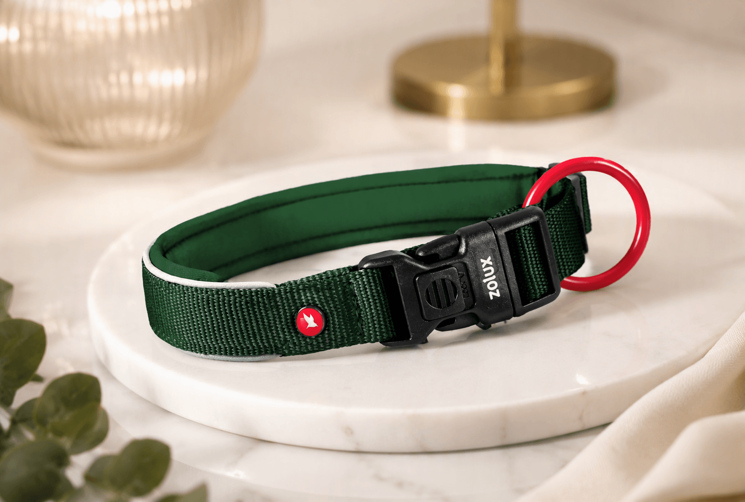 ZOLUX Premium-Nylon-Hundehalsband, Größe XS, 30–35 cm, 15 mm, grün – Bild 3