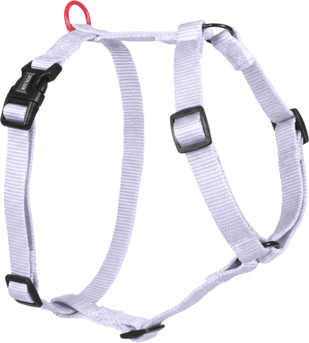 ZOLUX Klassisches Nylon-Hundegeschirr, 45–68 cm, 20 mm, lila – Bild 1