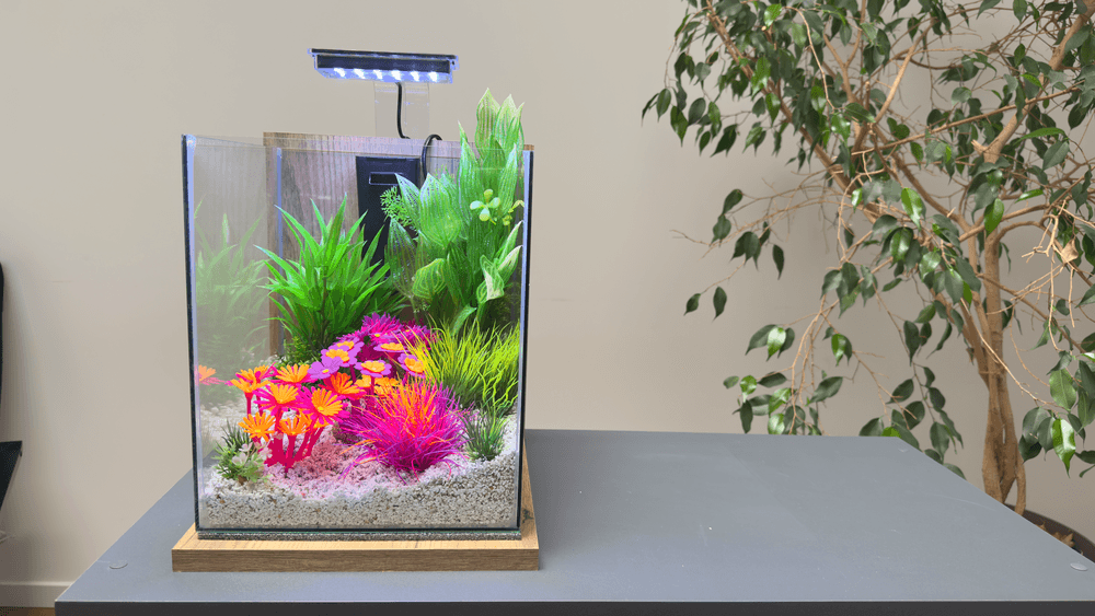 ZOLUX Aquariendekoration FLOWERS 3 violett-blau fluoreszierend – Bild 5