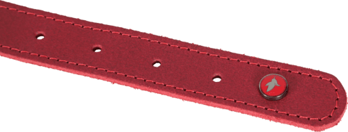 ZOLUX Klassisches Lederhalsband für Hunde, 19–24 cm, 14 mm, bordeauxrot – Bild 5