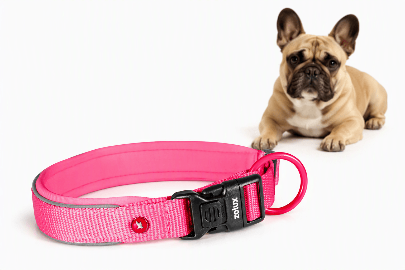 ZOLUX Premium-Nylon-Hundehalsband, Größe S, 35–40 cm, 20 mm, fuchsia – Bild 1