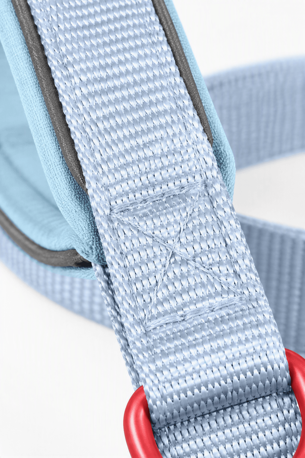 ZOLUX Premium-Nylon-Hundeleine, Größe XS, 1,2 m, 15 mm, hellblau – Bild 6