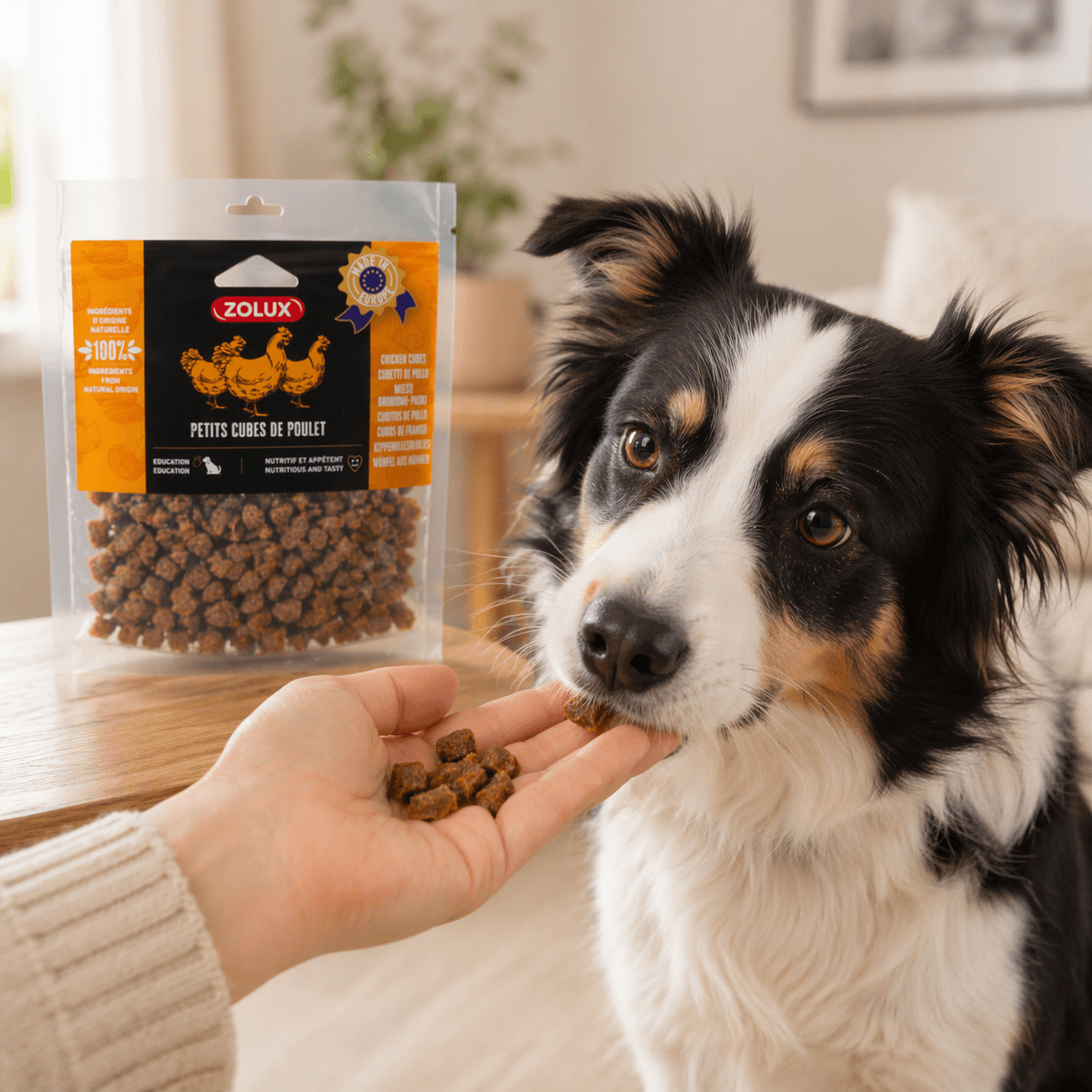 ZOLUX Natürliches Leckerli für Hunde Hühnerknochen klein, 100g – Bild 2