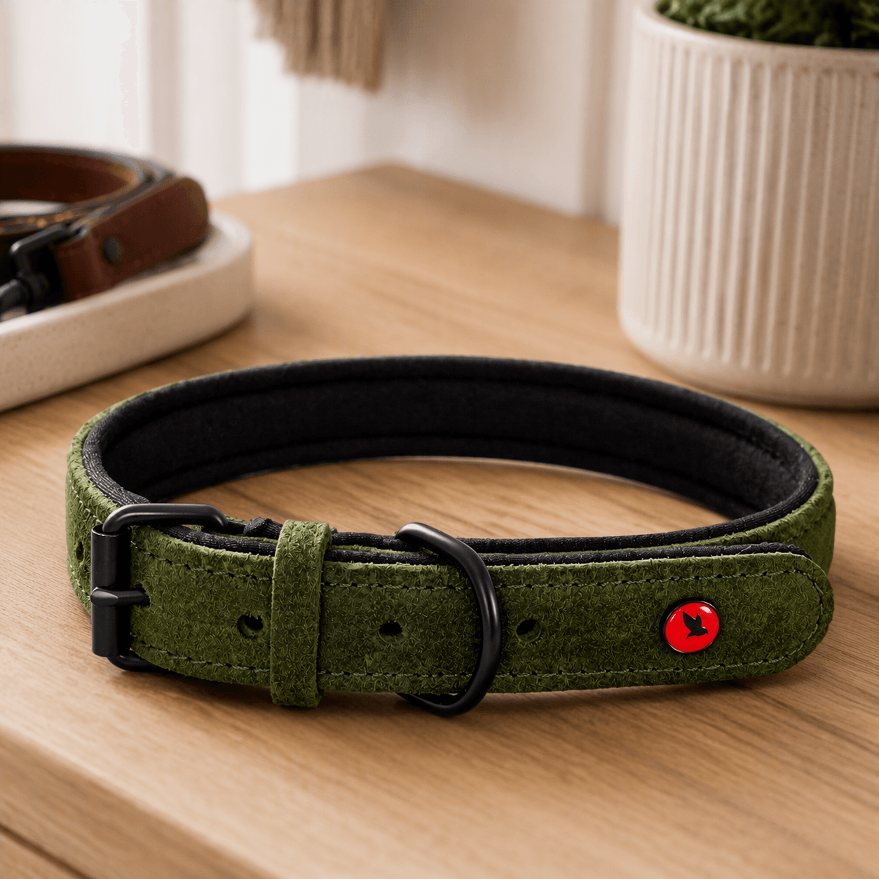 ZOLUX Komfort-Lederhalsband für Hunde, 38–48 cm, 25 mm, grün – Bild 5
