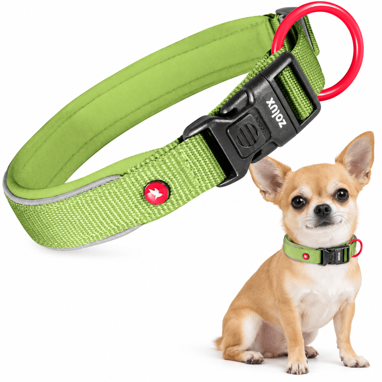 ZOLUX Premium-Nylon-Hundehalsband, Größe XXS, 25–30 cm, 15 mm, hellgrün – Bild 1