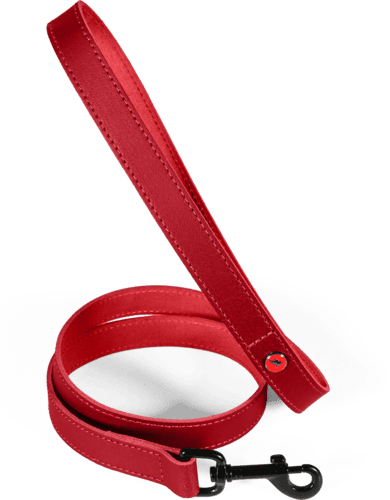 ZOLUX Klassische Lederleine für Hunde, 1 m, 20 mm, bordeauxrot – Bild 2