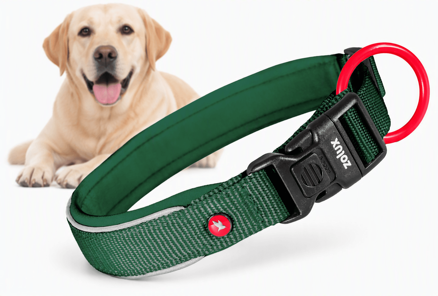 ZOLUX Premium-Nylon-Hundehalsband, Größe M, 40–45 cm, 20 mm, grün – Bild 1