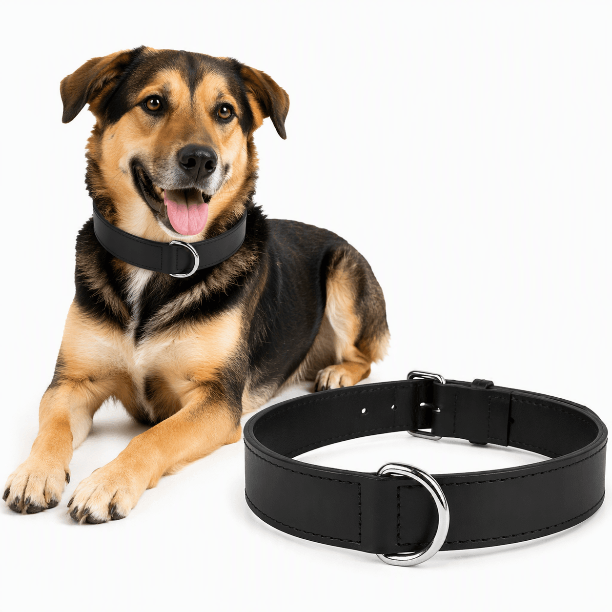 ZOLUX Verstärktes Hundehalsband aus Doppel-Leder, 55 cm, schwarz – Bild 1