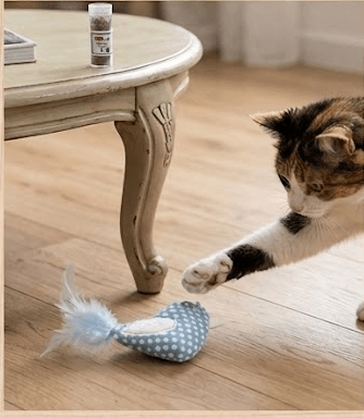 ZOLUX DOTIE Katzenspielzeug-Vogel mit Katzenminze-Einsatz, blau – Bild 8