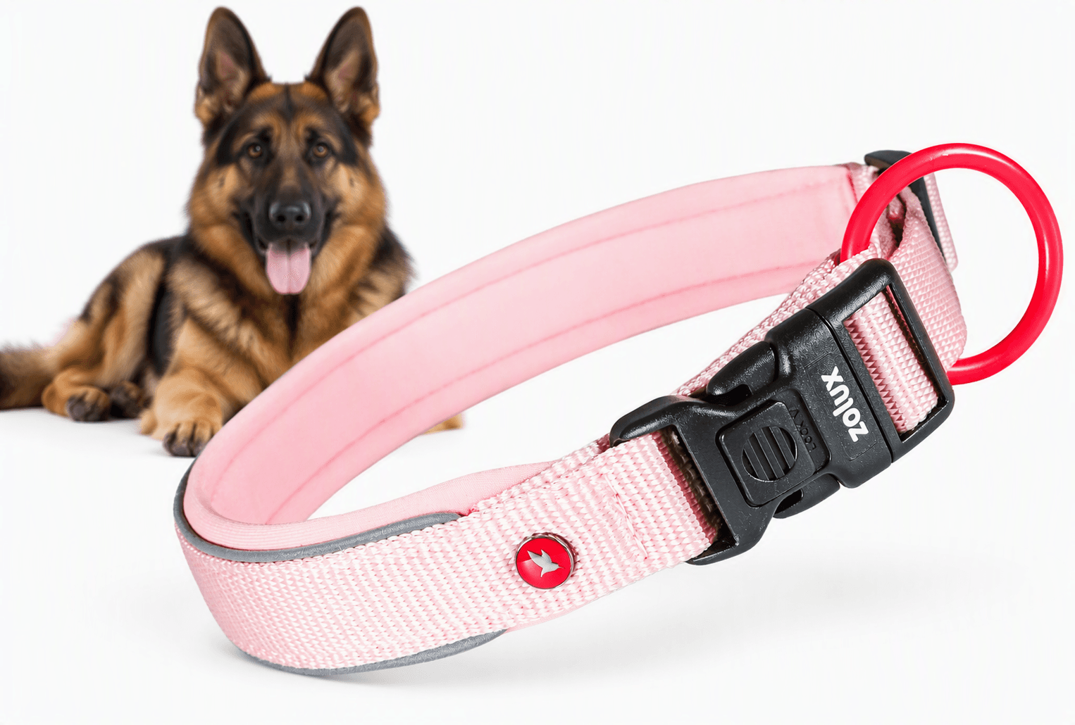 ZOLUX Premium-Nylon-Hundehalsband, Größe L, 45–50 cm, 25 mm, rosa – Bild 1