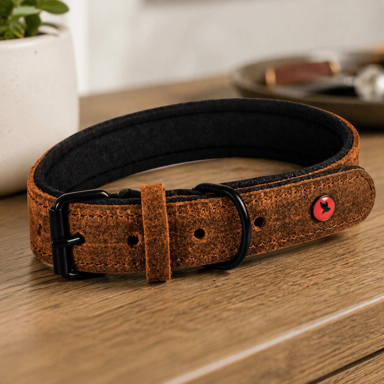 ZOLUX Komfort-Lederhalsband für Hunde, 38–48 cm, 25 mm, braun – Bild 13