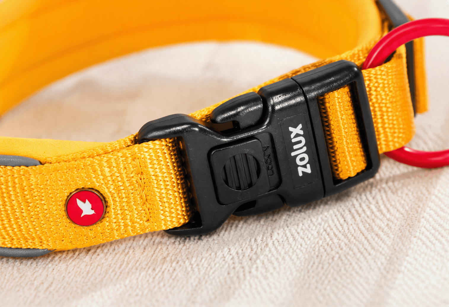 ZOLUX Premium-Nylon-Hundehalsband, Größe XXS, 25–30 cm, 15 mm, gelb – Bild 6