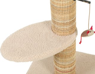 ZOLUX Kratzbaum für Katzen BOREAL, beige, 70 cm – Bild 3