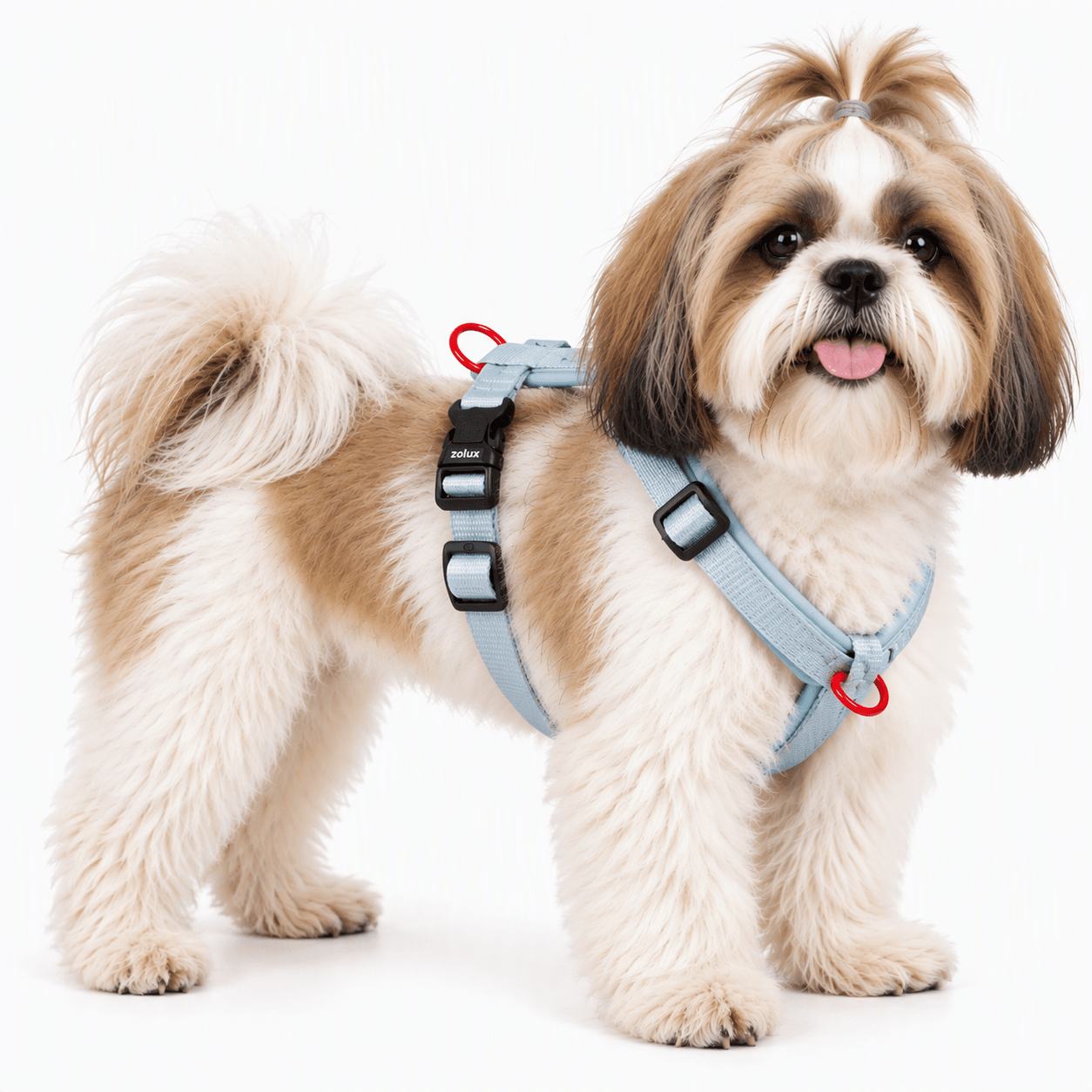 ZOLUX Premium-Nylon-Hundegeschirr, Größe S, 38–56 cm, 15 mm, hellblau – Bild 6