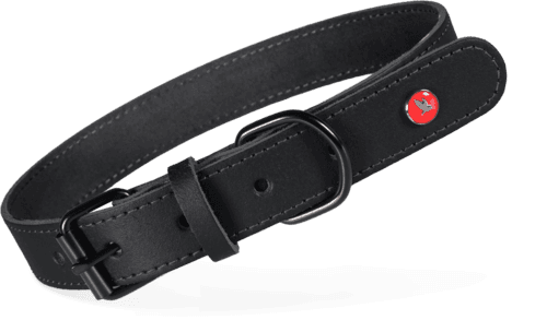 ZOLUX Klassisches Lederhalsband für Hunde, 54–63 cm, 30 mm, schwarz – Bild 1