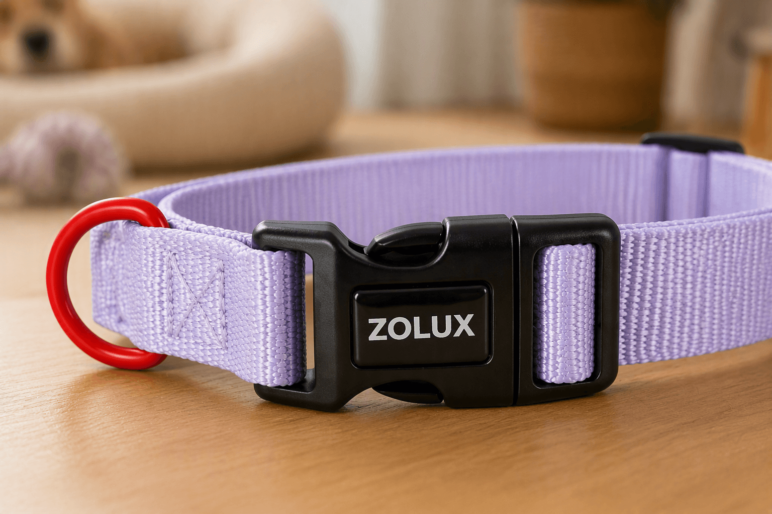 ZOLUX Klassisches Nylon-Hundehalsband, 26–39 cm, 15 mm, lila – Bild 5