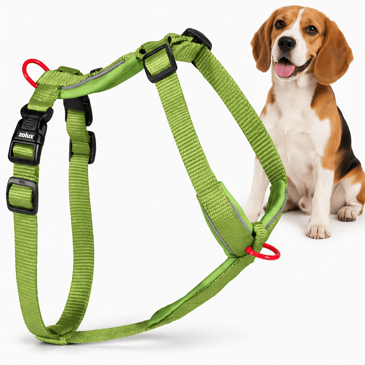 ZOLUX Premium-Nylon-Hundegeschirr, Größe M, 50–74 cm, 20 mm, hellgrün – Bild 1