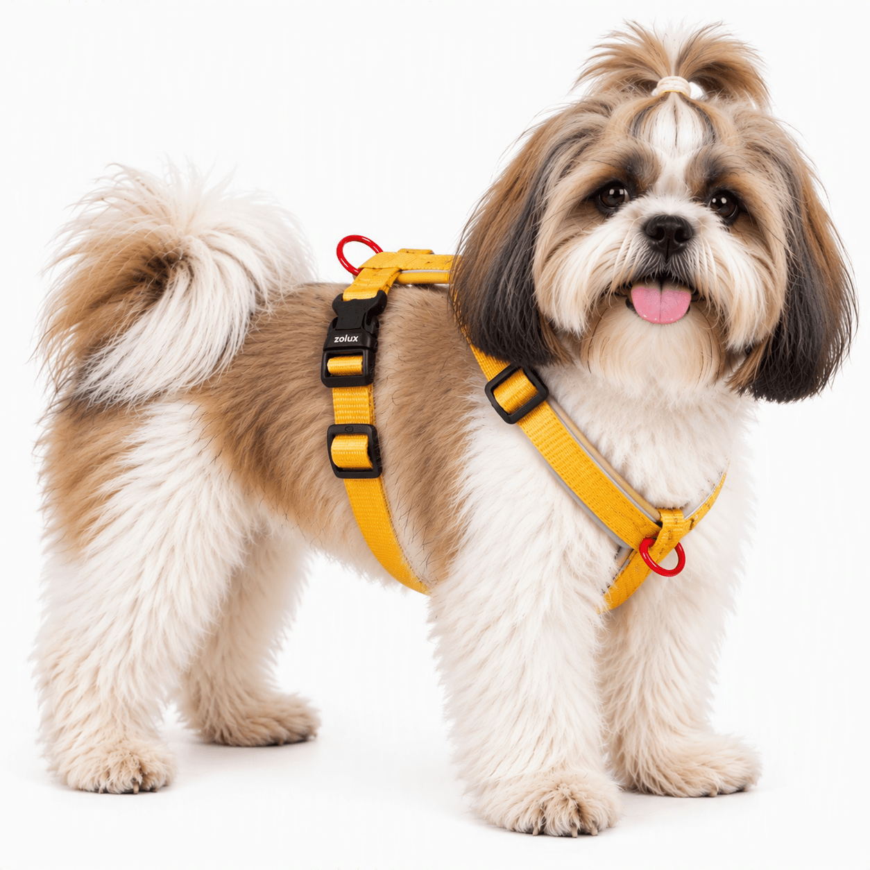 ZOLUX Premium-Nylon-Hundegeschirr, Größe S, 38–56 cm, 15 mm, gelb – Bild 7