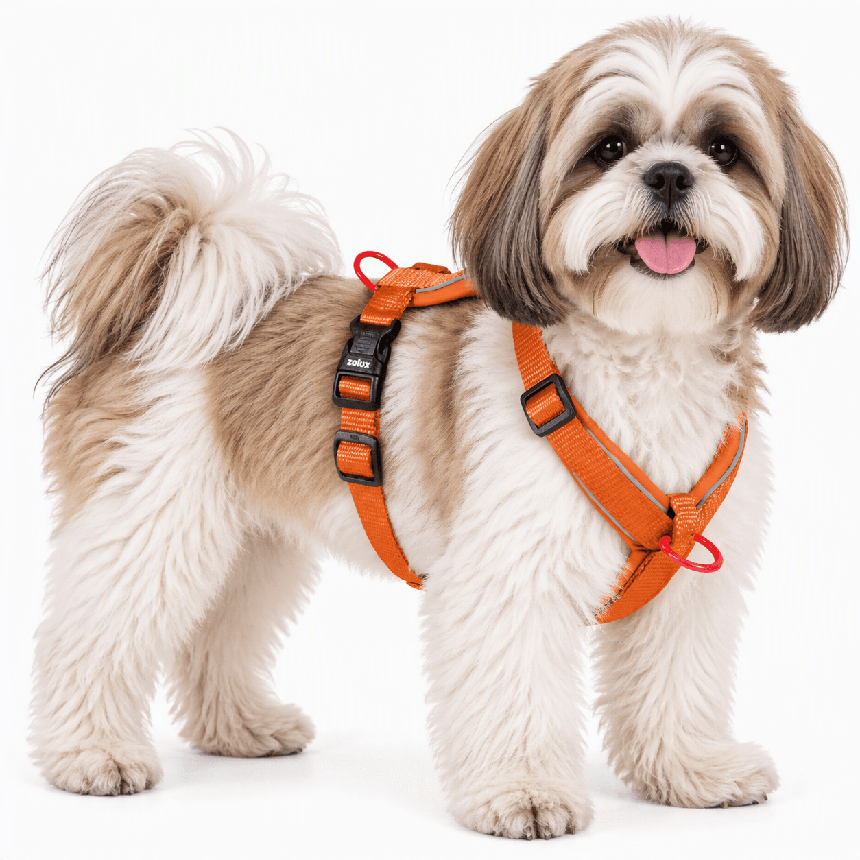 ZOLUX Premium-Nylon-Hundegeschirr, Größe S, 38–56 cm, 15 mm, rostbraun – Bild 6