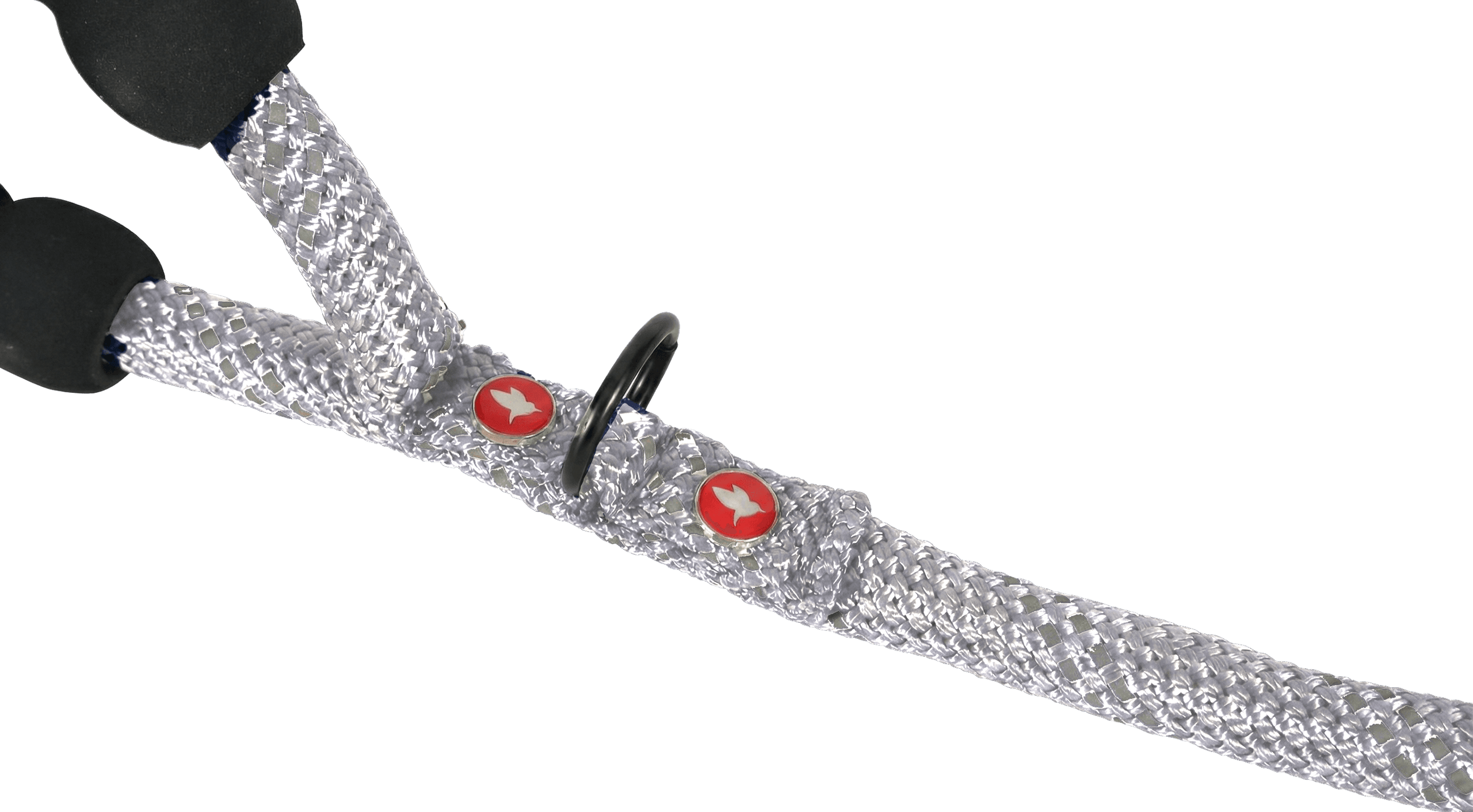 ZOLUX Seilleine für Hunde, 3 m, 13 mm, lila – Bild 3