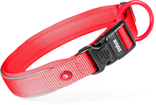 ZOLUX Premium-Nylon-Hundehalsband, Größe XS, 30–35 cm, 15 mm, rot – Bild 2