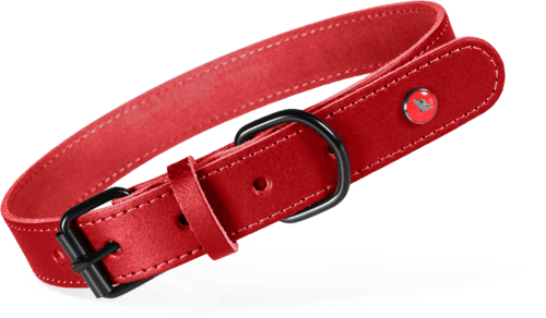 ZOLUX Klassisches Lederhalsband für Hunde, 30–36 cm, 16 mm, bordeauxrot – Bild 1