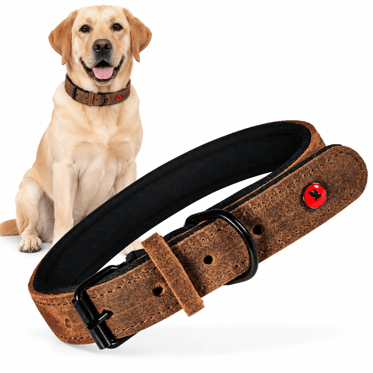 ZOLUX Komfort-Lederhalsband für Hunde, 38–48 cm, 25 mm, braun – Bild 1