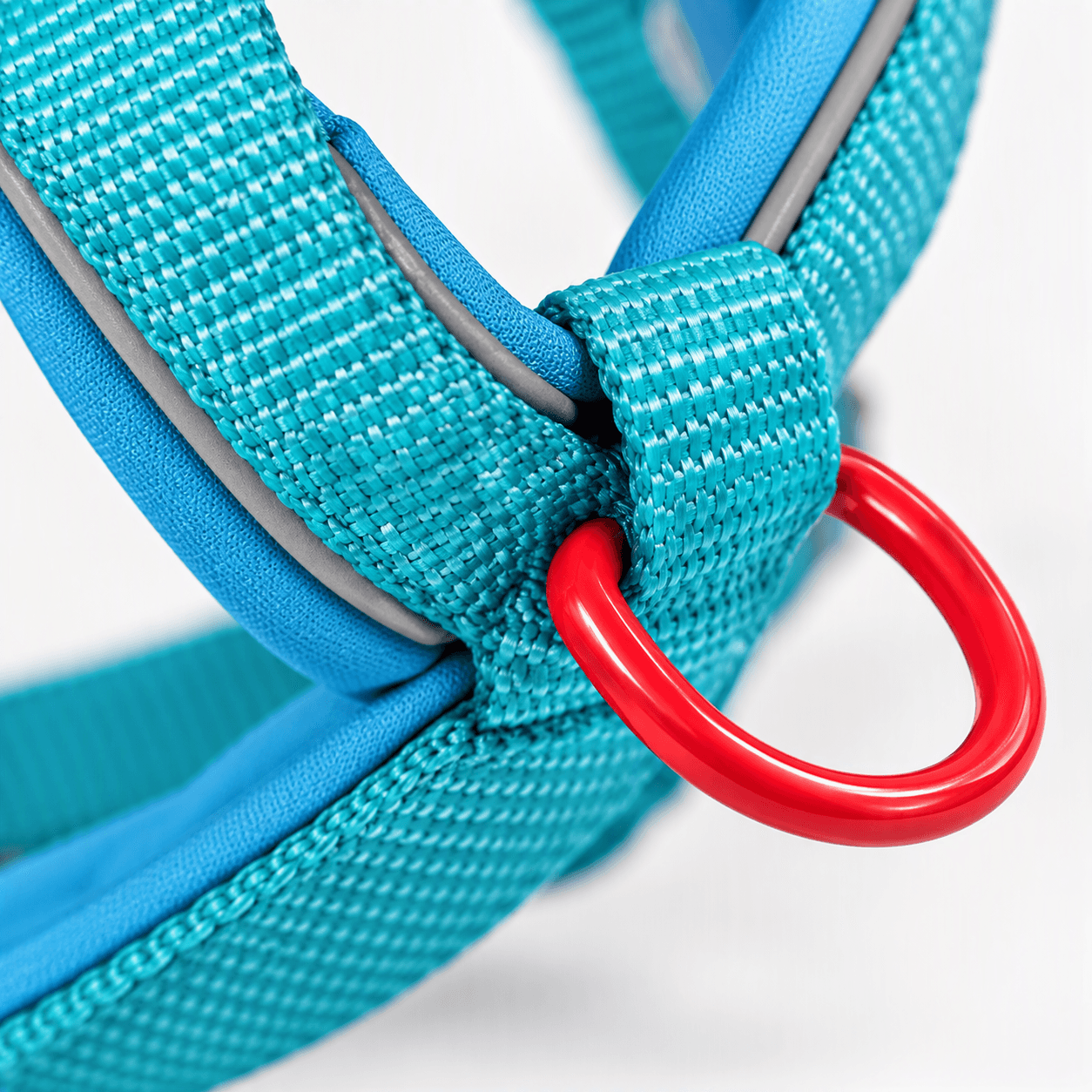 ZOLUX Premium-Nylon-Hundegeschirr, Größe L/XL, 65–97 cm, 25 mm, türkis – Bild 5