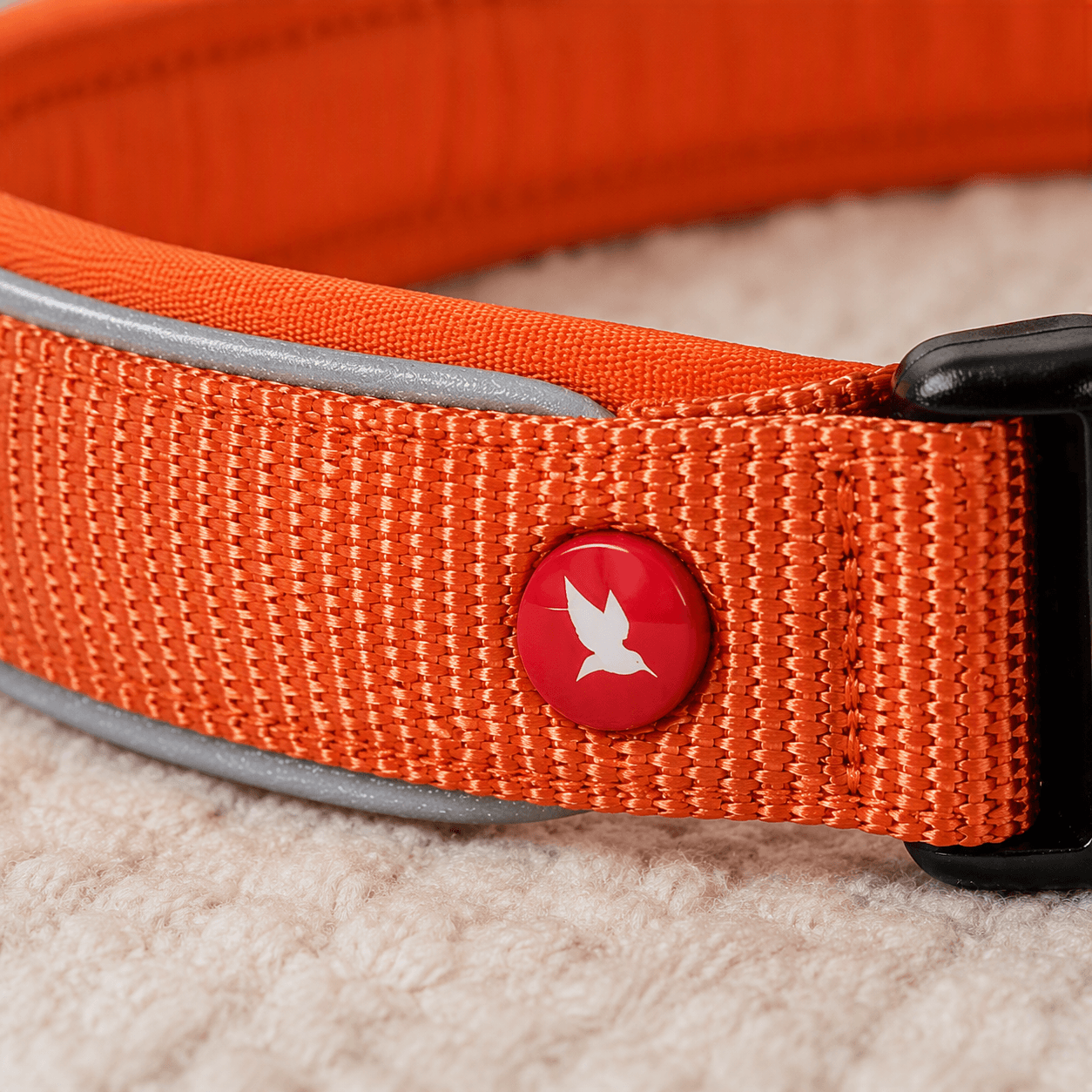 ZOLUX Premium-Nylon-Hundehalsband, Größe XXS, 25–30 cm, 15 mm, rostbraun – Bild 5