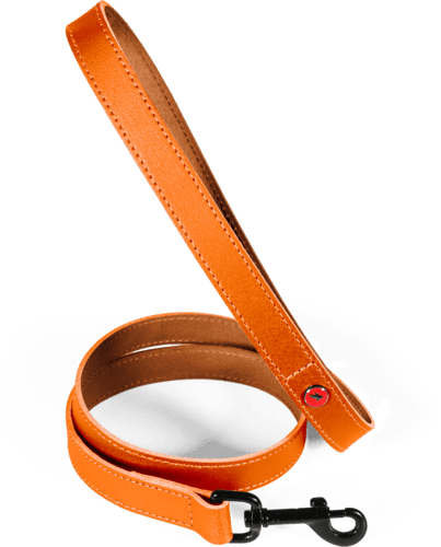 ZOLUX Klassische Lederleine für Hunde, 1 m, 15 mm, orange – Bild 2