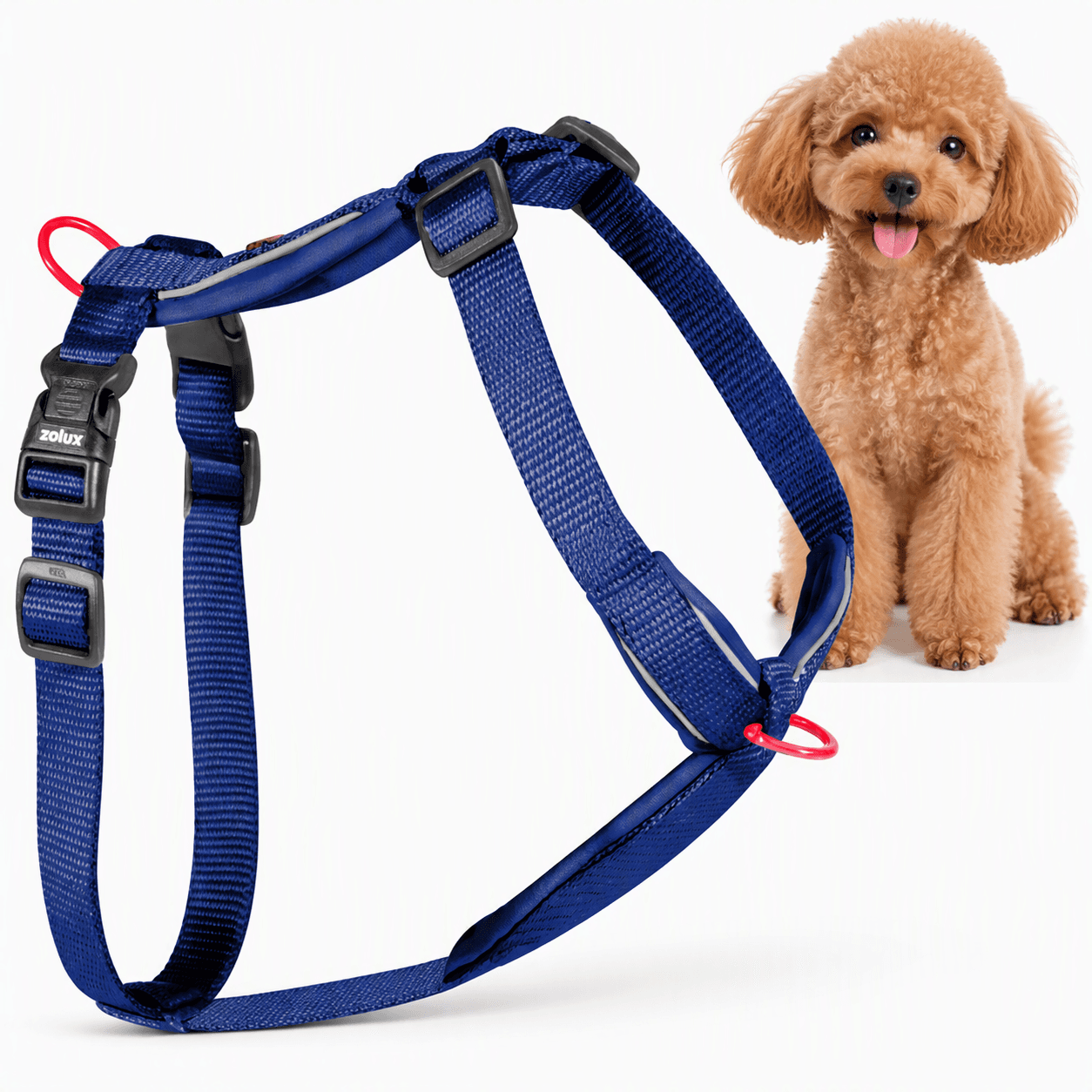 ZOLUX Premium-Nylon-Hundegeschirr, Größe XS, 30–40 cm, 15 mm, marineblau – Bild 1