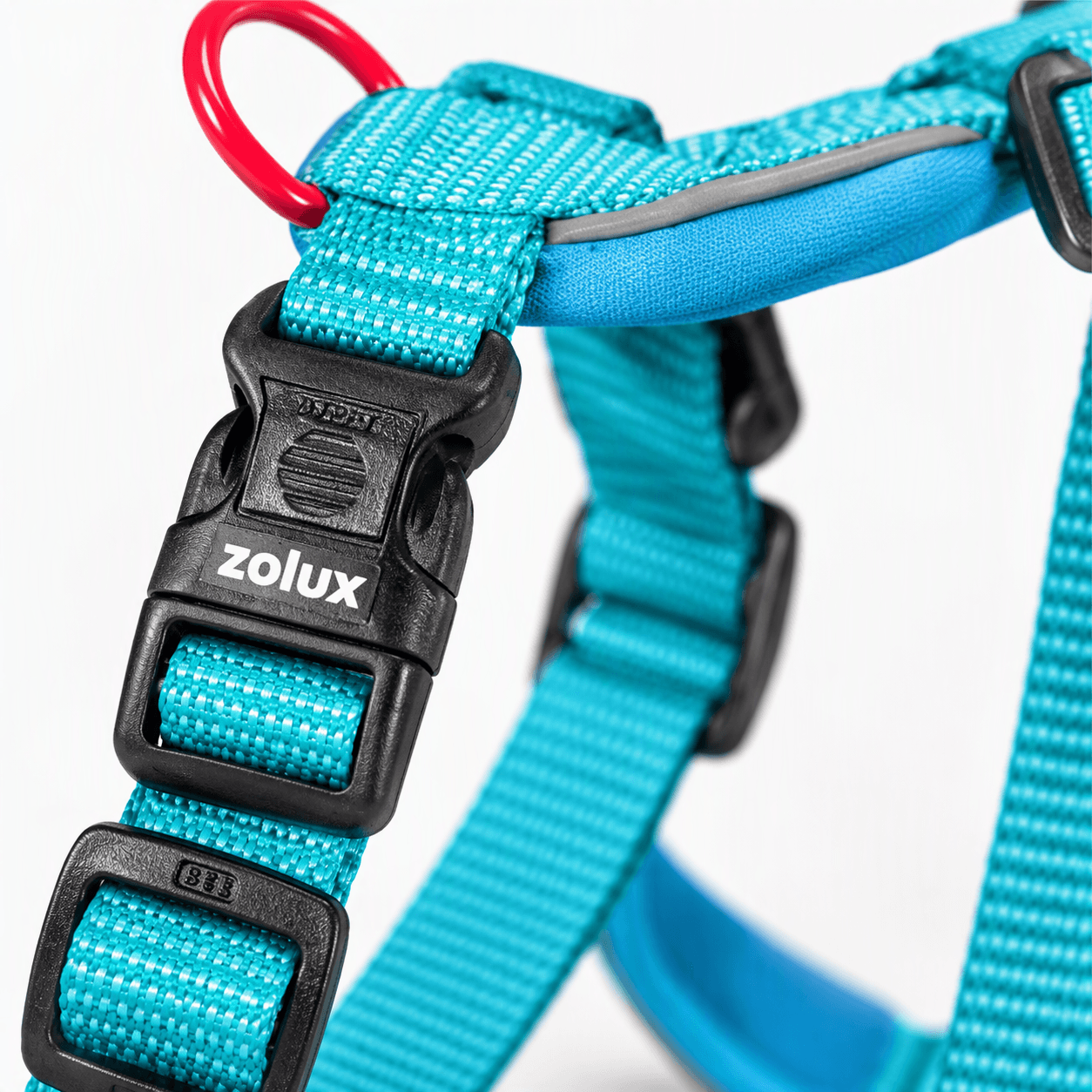 ZOLUX Premium-Nylon-Hundegeschirr, Größe M, 50–74 cm, 20 mm, türkis – Bild 4