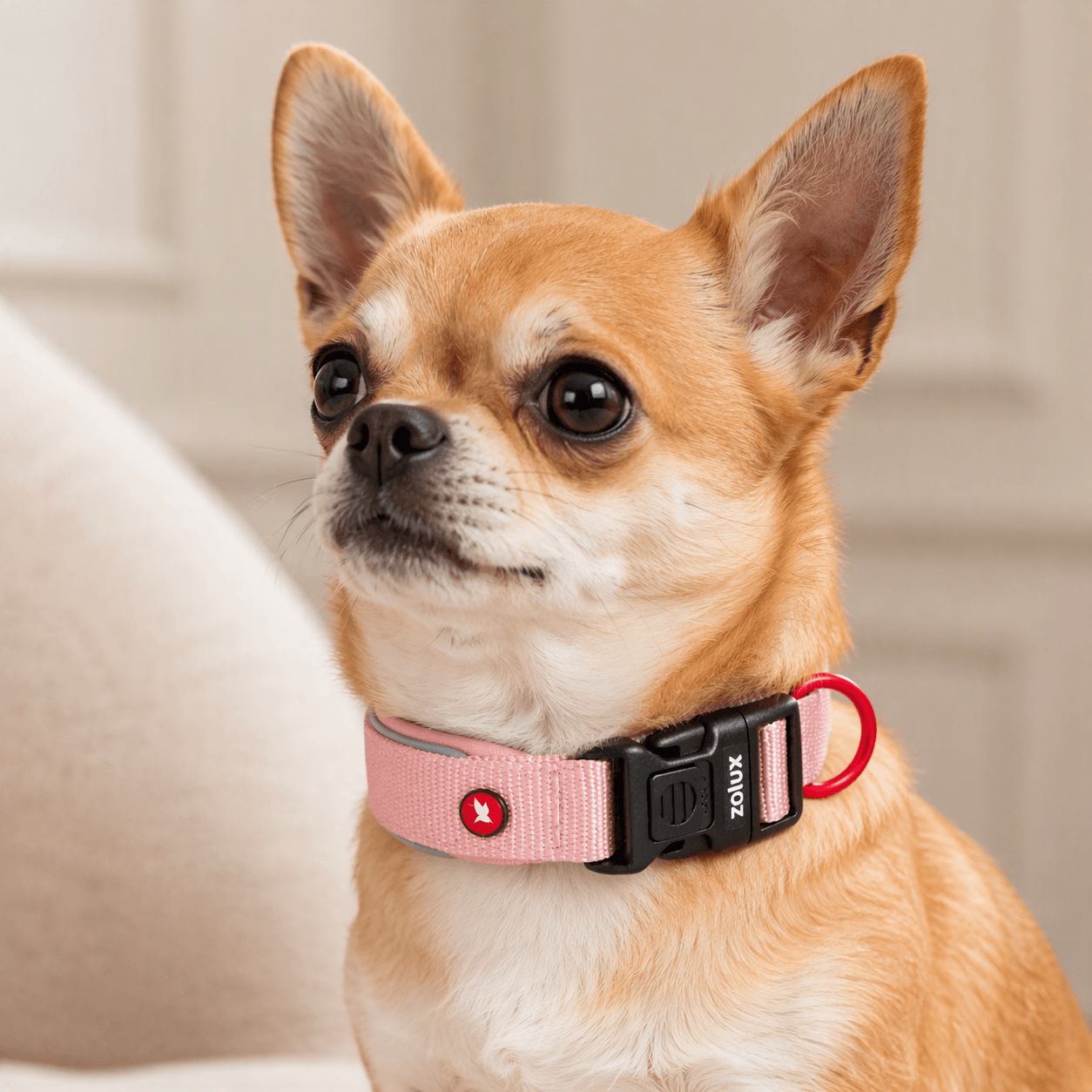 ZOLUX Premium-Nylon-Hundehalsband, Größe XXS, 25–30 cm, 15 mm, rosa – Bild 8