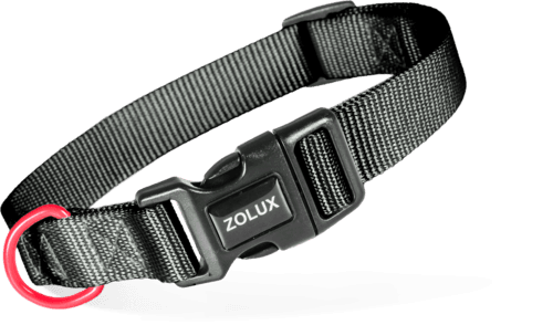 ZOLUX Klassisches Nylon-Hundehalsband, 37–58 cm, 25 mm, schwarz – Bild 2
