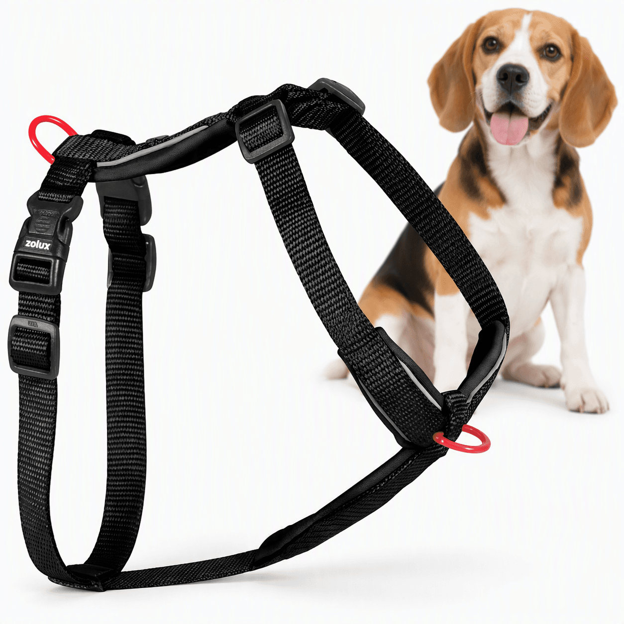 ZOLUX Premium-Nylon-Hundegeschirr, Größe M, 50–74 cm, 20 mm, schwarz – Bild 1