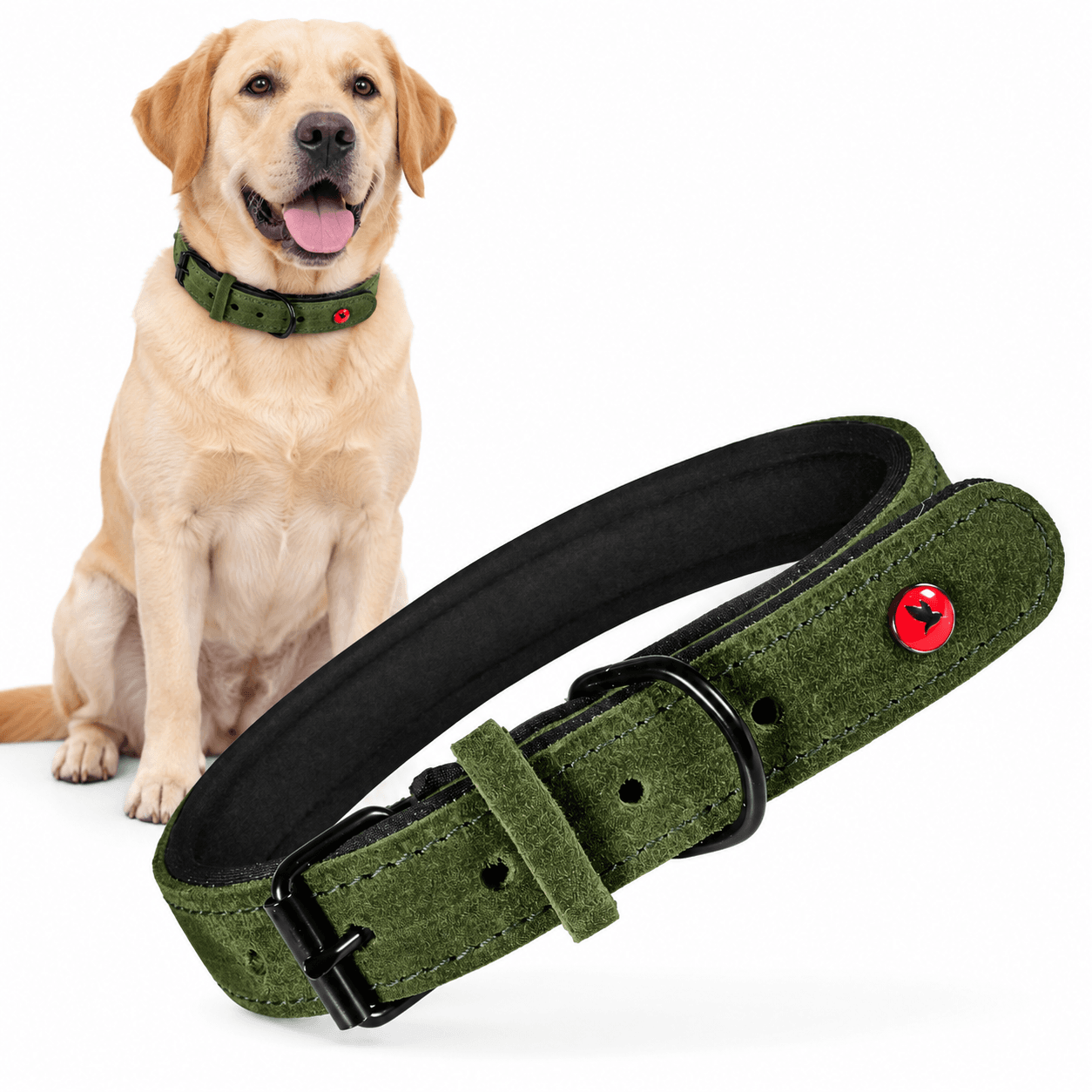 ZOLUX Komfort-Lederhalsband für Hunde, 34–44 cm, 20 mm, grün – Bild 1