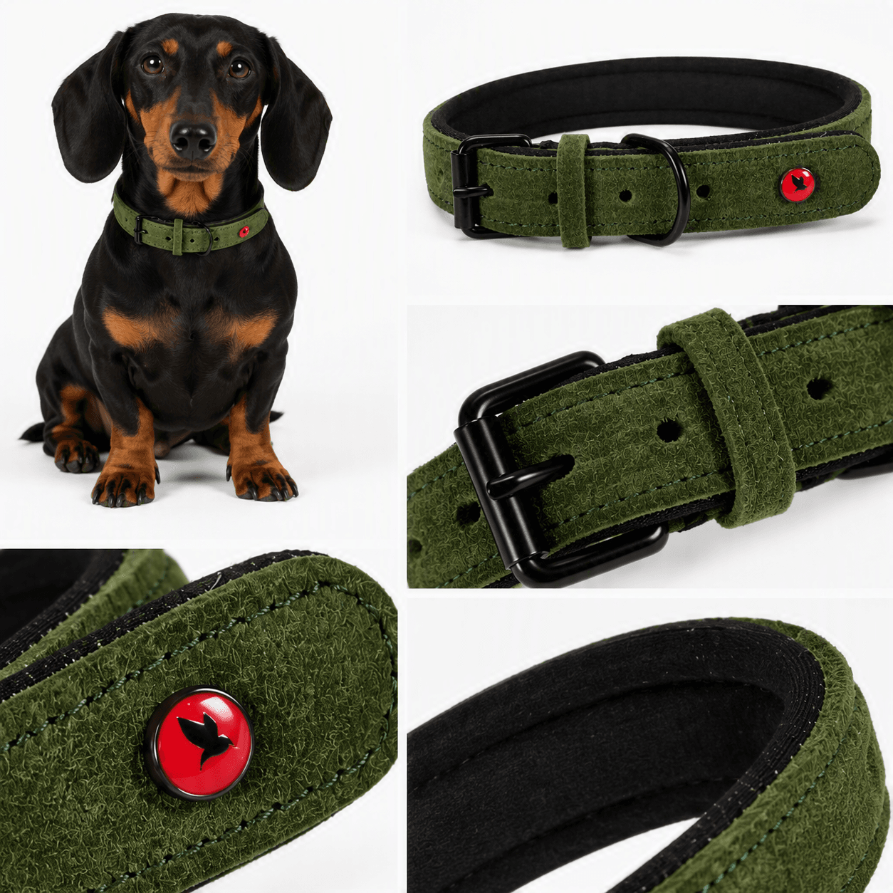 ZOLUX Komfort-Lederhalsband für Hunde, 29–36 cm, 16 mm, grün – Bild 5