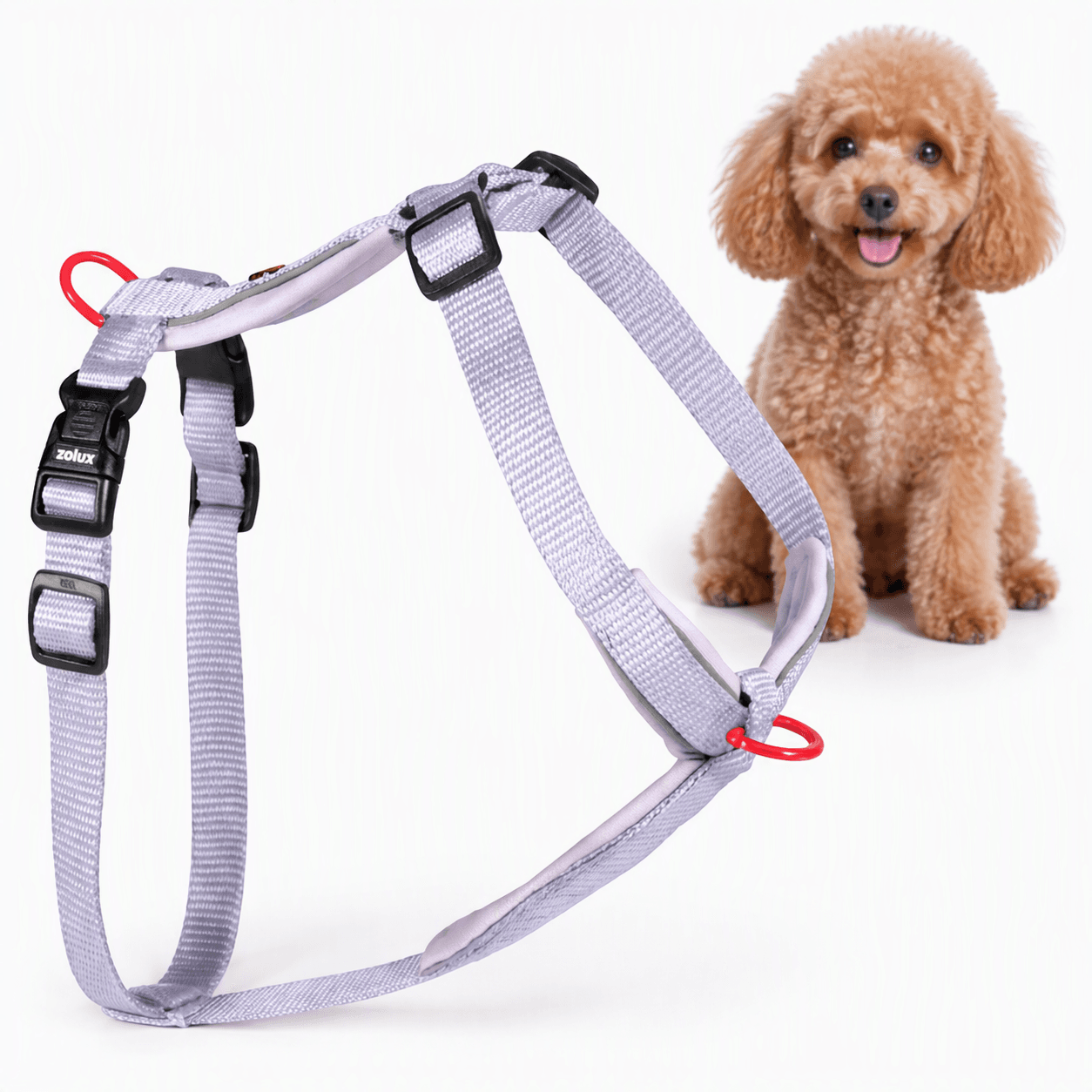 ZOLUX Premium-Nylon-Hundegeschirr, Größe XS, 30–40 cm, 15 mm, lila – Bild 1