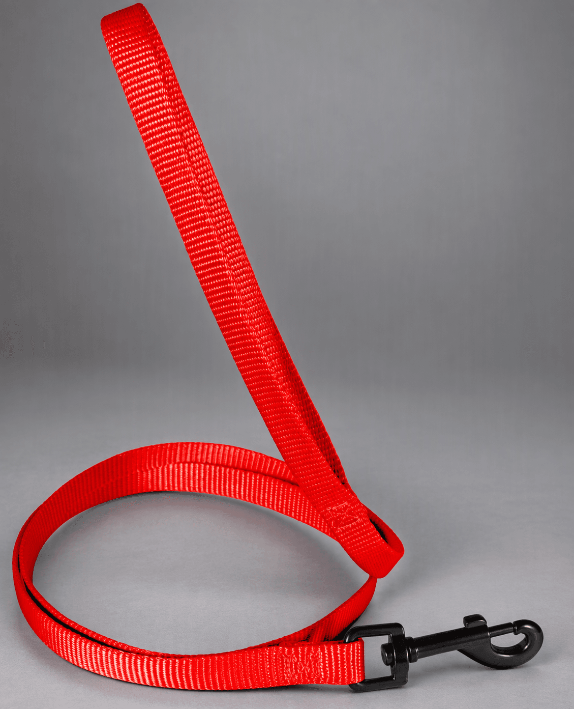 ZOLUX Klassische Nylon-Hundeleine, 1,20 m, 25 mm, rot – Bild 8
