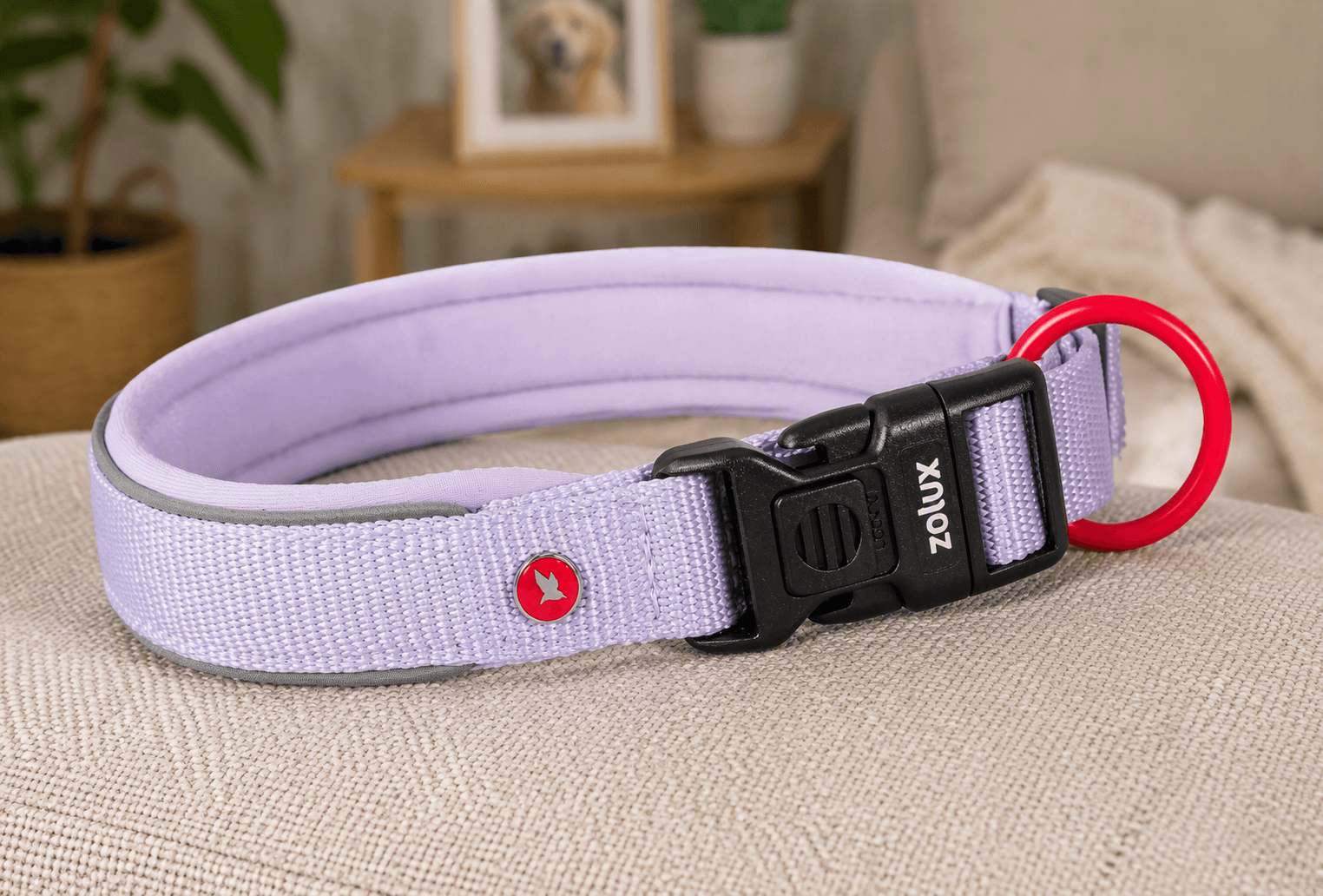 ZOLUX Premium-Nylon-Hundehalsband, Größe XXS, 25–30 cm, 15 mm, lila – Bild 4