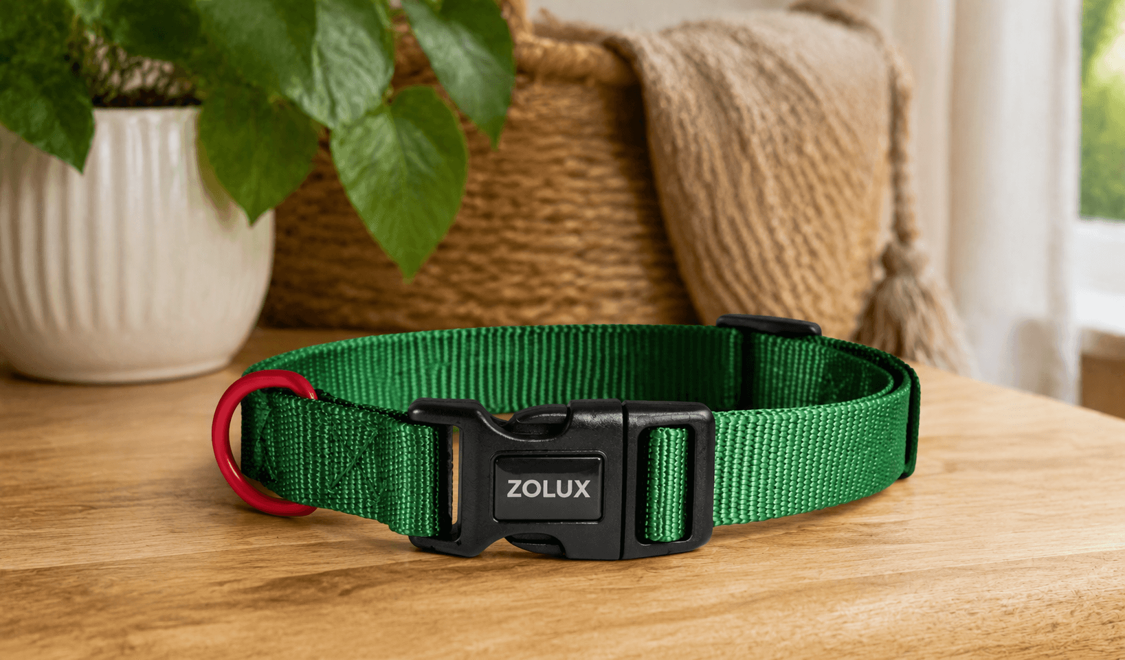 ZOLUX Klassisches Nylon-Hundehalsband, 21–36 cm, 10 mm, grün – Bild 7