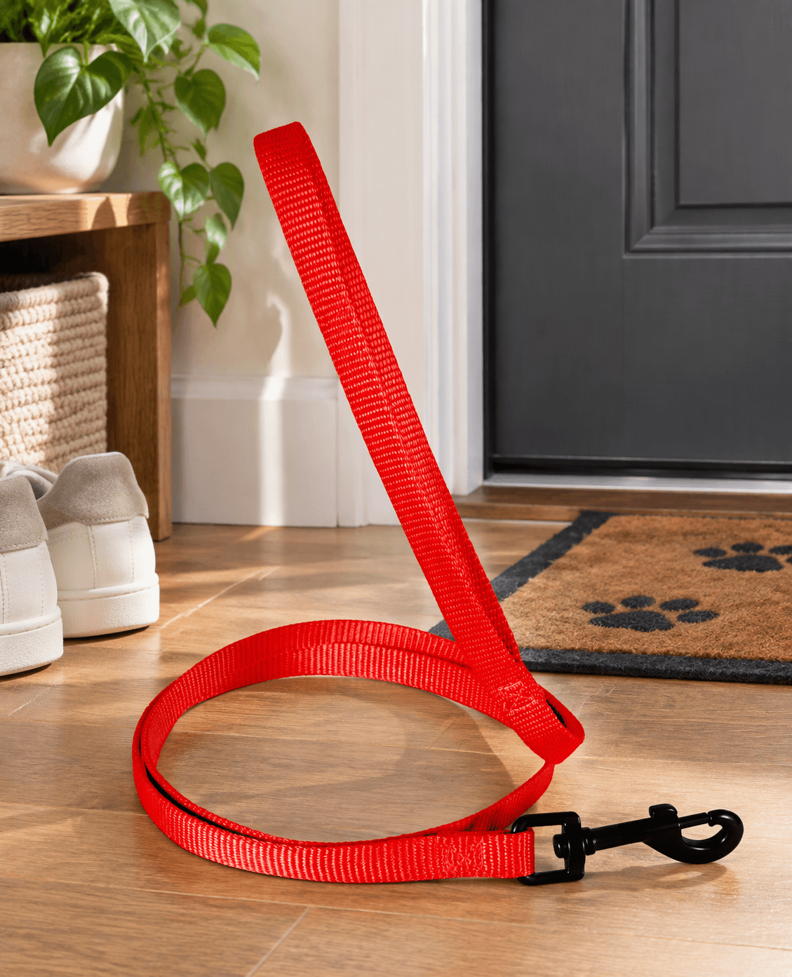 ZOLUX Klassische Nylon-Hundeleine, 1,20 m, 25 mm, rot – Bild 4