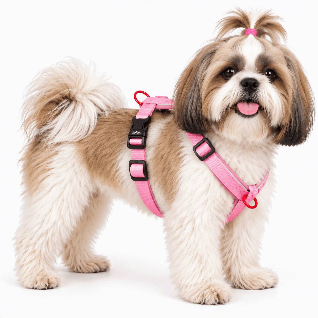 ZOLUX Premium-Nylon-Hundegeschirr, Größe S, 38–56 cm, 15 mm, fuchsia – Bild 8
